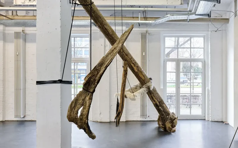 Im Vordergrund zu sehen ist "Mammut", ein quasi in der Luft schwebendes Objekt aus Holz. Es hängt leicht schräg im Raum. In seiner Mitte wird es von einem schwarzen Seil gehalten, das von der Decke der Ausstellungshalle herunterkommt. Das Holzfragment läuft nach oben rechts fast spitz zu, während es zum linken unteren Teil hin breiter ausläuft und sich in zwei Hälften teilt. Es ist verwittertes Holz, das eine knochenartige Anmutung hat. Links neben der Skulptur befindet sich ein weißer Stützpfeiler der Ausstellungshalle. Im Hintergrund befindet sich eine Konstruktion mit einem schräg installierten langen Baumstamm, der schräg im Raum positioniert und ebenfalls mit schwarzen Seilen befestigt ist. Im Hintergrund des Bildes sind zwei große Fenster des Ausstellungsraums zu sehen.