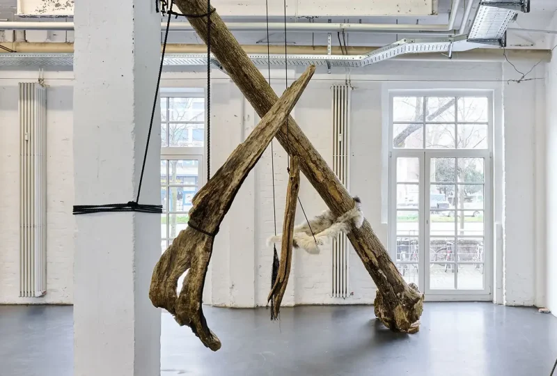 Im Vordergrund zu sehen ist "Mammut", ein quasi in der Luft schwebendes Objekt aus Holz. Es hängt leicht schräg im Raum. In seiner Mitte wird es von einem schwarzen Seil gehalten, das von der Decke der Ausstellungshalle herunterkommt. Das Holzfragment läuft nach oben rechts fast spitz zu, während es zum linken unteren Teil hin breiter ausläuft und sich in zwei Hälften teilt. Es ist verwittertes Holz, das eine knochenartige Anmutung hat. Links neben der Skulptur befindet sich ein weißer Stützpfeiler der Ausstellungshalle. Im Hintergrund befindet sich eine Konstruktion mit einem schräg installierten langen Baumstamm, der schräg im Raum positioniert und ebenfalls mit schwarzen Seilen befestigt ist. Im Hintergrund des Bildes sind zwei große Fenster des Ausstellungsraums zu sehen.
