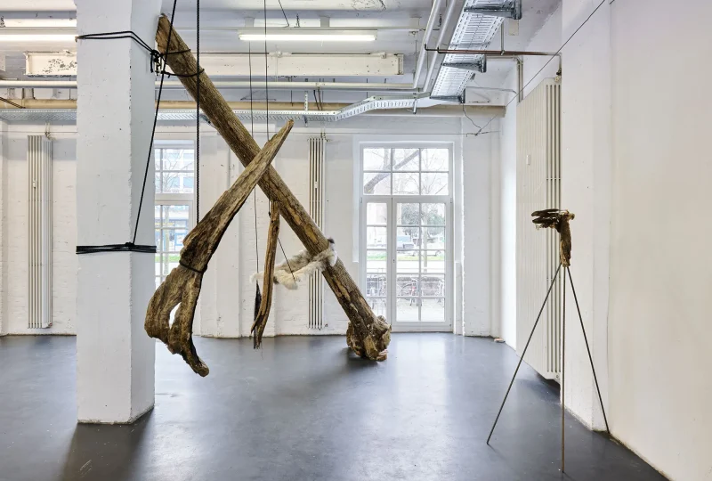 2023.03.23_Marietta-Schwarz-02.web