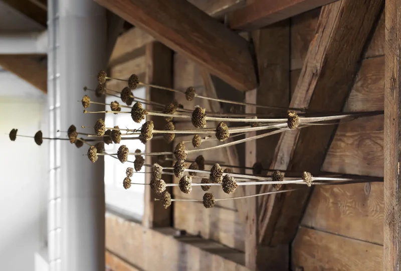 2024.09.13_Marietta-Schwarz-08.web