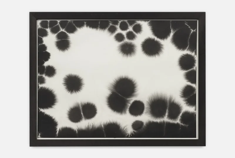 2024.12.09_Marietta-Schwarz_30.web