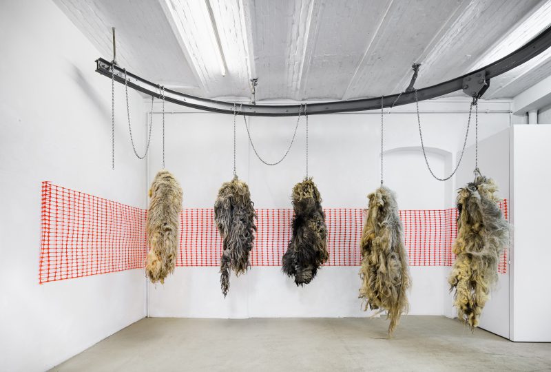 Die Zeiten werden rauer