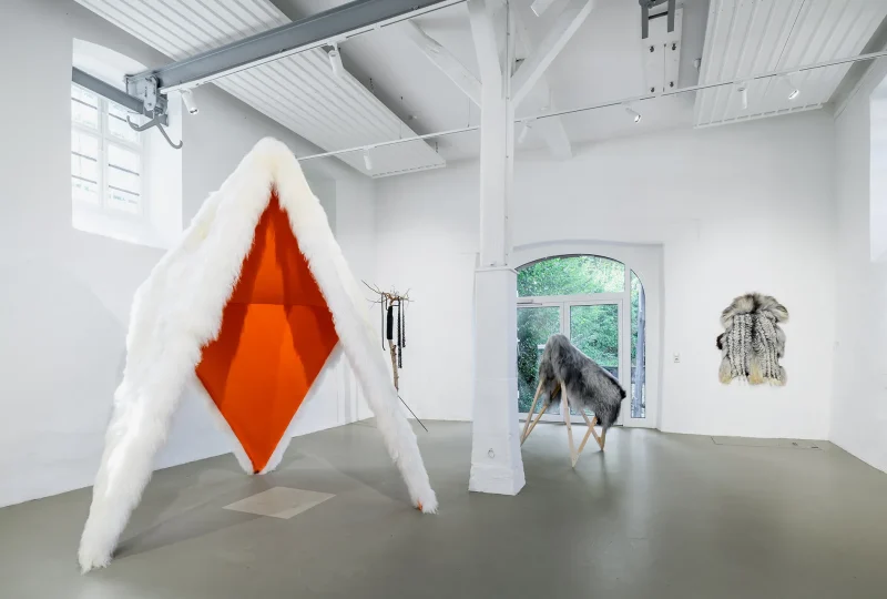 20240903_Schwarz_KVNO_0024