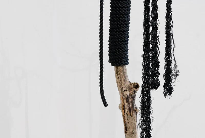 20240903_Schwarz_KVNO_0184