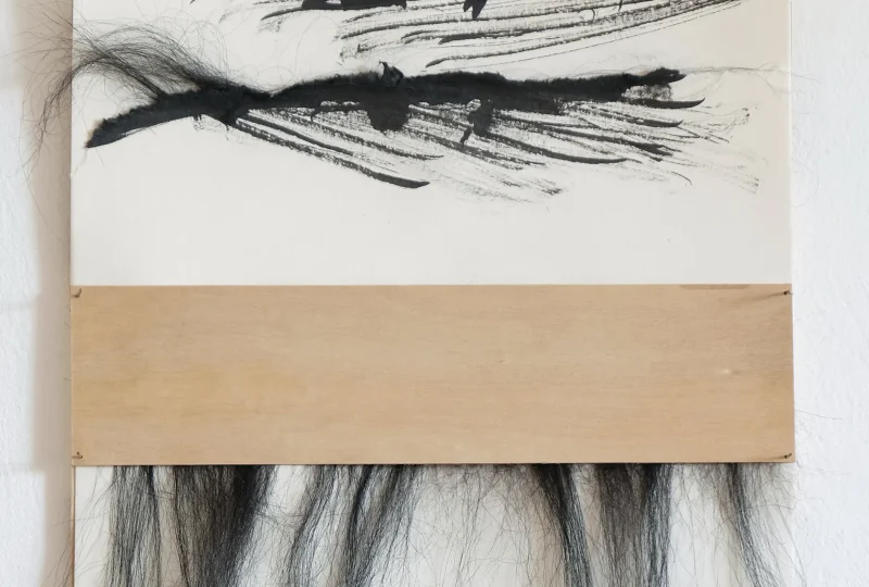 DSCF1335_Ausschnitt QF