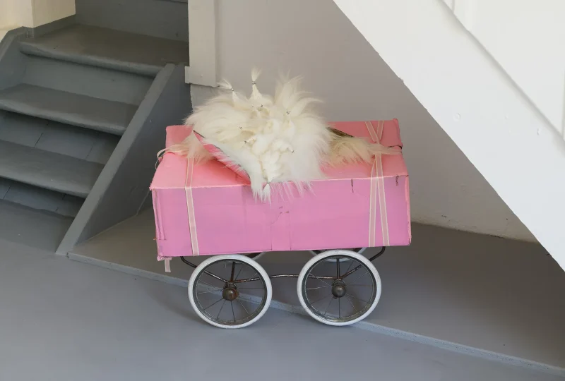 Fährt nicht mehr 20240903_Schwarz_KVNO_0092