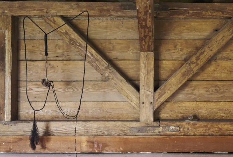 Hanging Sculpture Interconnection II