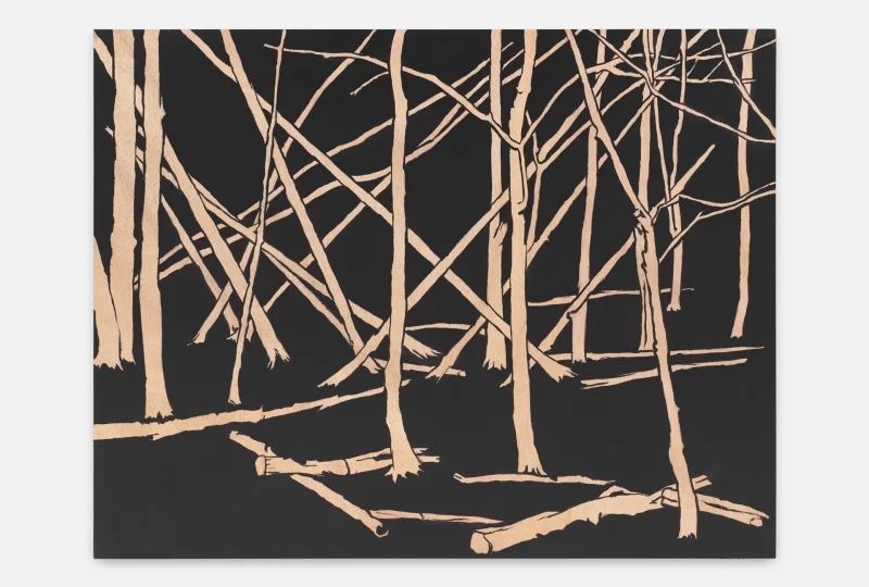 Kohlestift und Tempera auf Holz, 62 x 55 cm