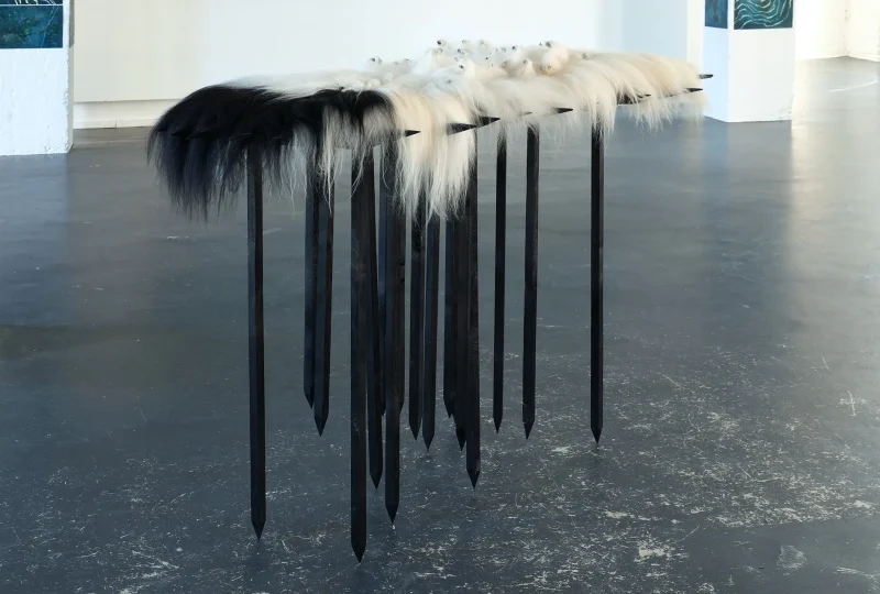 Nwes_2024_DSCF2194_web