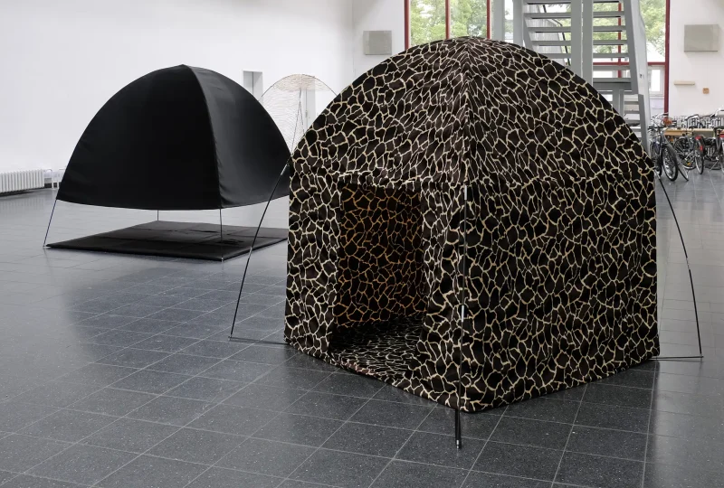 Salvadora Dreaming_IsnmdwIw_DSF8157_web