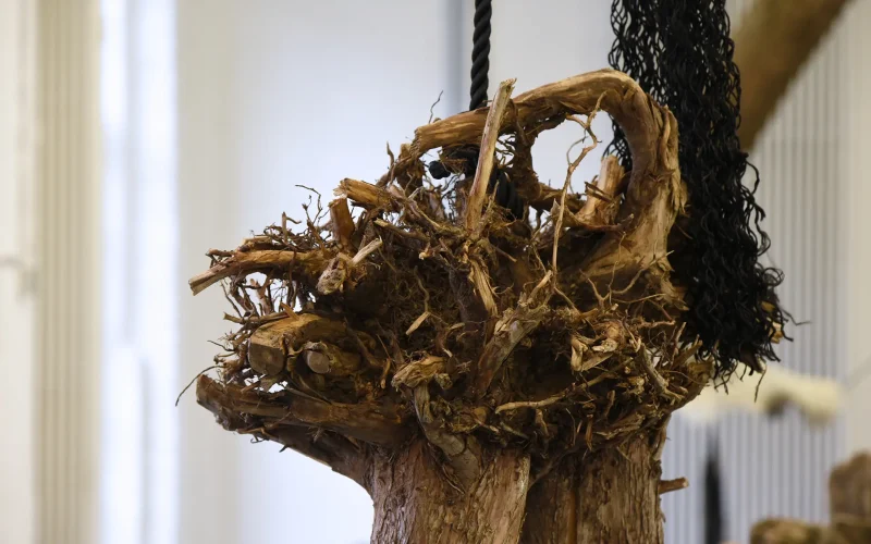 Zu sehen ist die Installation „Balance“ in einem hellen Ausstellungsraum. Der Raum ist hoch, offen, hat weiße Wände, große, zum Boden reichende Fenster und einen dunklen Boden. Im Vordergrund links-mittig steht eine Skulptur aus einem Baumstamm, der sich von oben nach unten in zwei Teile aufgliedert. Sie sind unterschiedlich lang, und naturbelassen, mit einer groben Baumrinde. Nach unten stehen die beiden Holzteile jeweils auf einer dünnen Metallstange, am oberen Ende befindet sich dort, wo sie zusammenlaufen, vertrocknetes Wurzelwerk. Das gesamte Holzfragment wird von einem schwarzen Seil, das von der Decke herabhängt, von oben gehalten. Das Seil ist oben an der Decke befestigt und kommt ein zweites Mal von dort wieder herunter und löst sich in diesem Strang zunehmend in seine einzelnen feineren Stränge auf. Das aufgelöste Seil endet seitlich auf der Wurzel. Hinter der Hauptskulptur rechts stehen sechs sehr schlanke, aufrechte Objekte in zwei Dreiergruppen. Sie bestehen aus dünnen, hellen Holzstäben. Am oberen Ende jedes Stabes befindet sich eine getrocknete Pflanze (Blüte). Die Hölzer stehen jeweils auf vier feinen gespreizten Metallstäben.