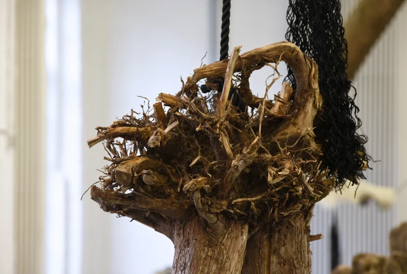 WhlaRg-2023-WL-DSC_8935