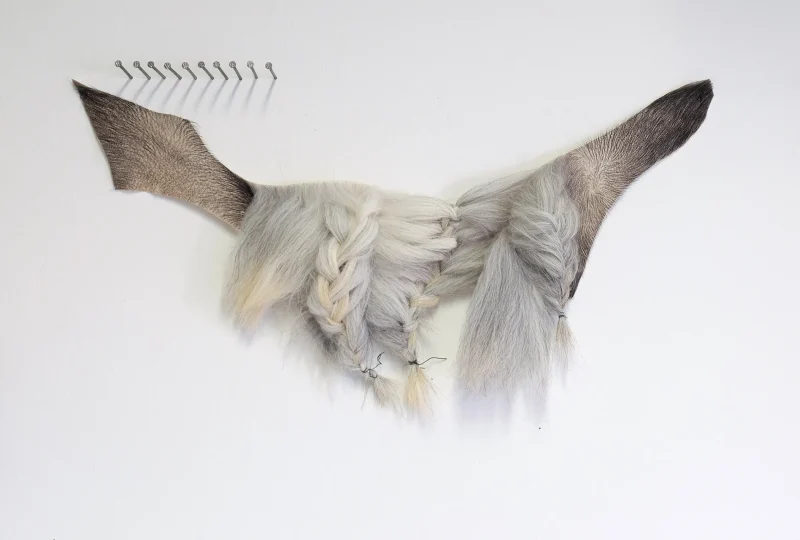 WhlaRg_2023_Fellarbeit_DSCF0268_web